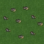 The Rat Infestation