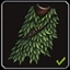 Forest Cover