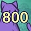 800 Cats