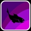 Fishing Expert