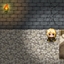 The Prison Escape