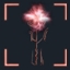 Void Memetics