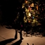 Silent Nights
