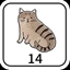 14