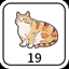 19