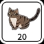 20