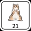 21