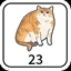 23