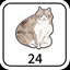 24