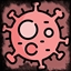 Virus