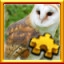 Barn Owl Complete!