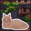 Find 8 cats