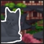 Find 47 cats