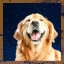 Good dog