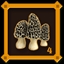 Mushroom Hunter Level 4