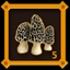 Mushroom Hunter Level 5