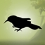Mission Impossibird