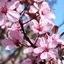 Spring 2K24 26