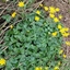 Spring 2K24 27