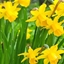 Spring 2K24 91