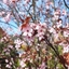 Spring 2K24 95