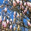 Spring 2K24 24