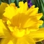 Spring 2K24 43