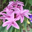 Spring 2K24 44