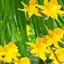 Spring 2K24 49