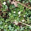 Spring 2K24 56