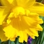 Spring 2K24 57
