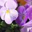 Spring 2K24 60