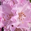Spring 2K24 61