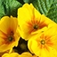Spring 2K24 62