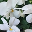 Spring 2K24 64