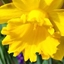 Spring 2K24 71