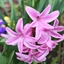 Spring 2K24 72