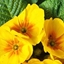 Spring 2K24 76