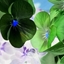 Spring 2K24 88