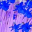 Spring 2K24 91