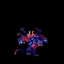 World 4
