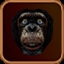 Cooked Capuchin