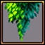 Hanging Gardens