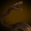 You killed Scylla