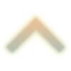 Warrant Officer 1
