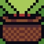 Fruit Basket