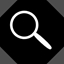 Initial Case