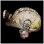 Find Ten Miner Helmets