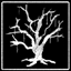 Dark Forest