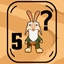 5 quests